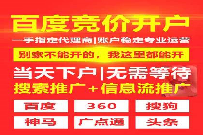 SEM托管服务，成功案例见证转化奇迹
