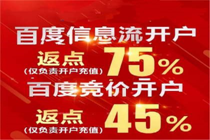 某电商平台的SEM营销推广实战经验